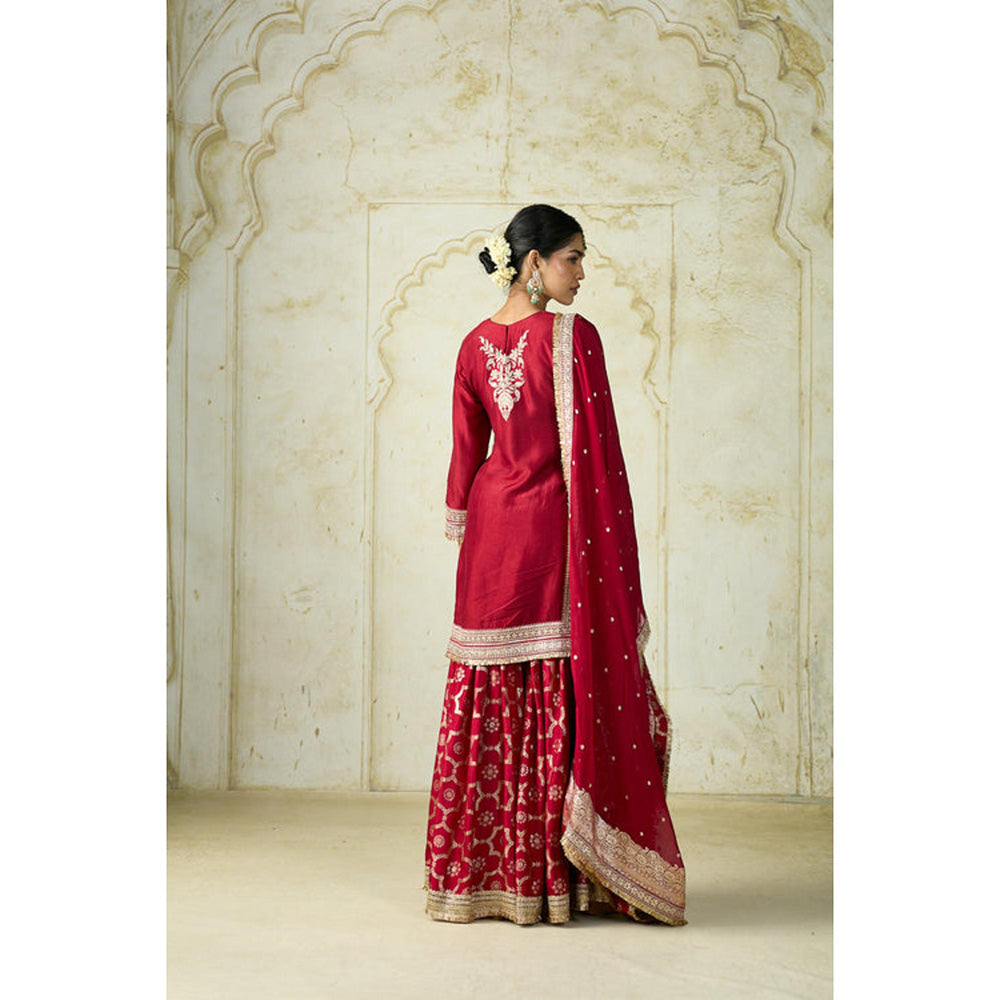 Gopi Vaid Ameena Sharara Set