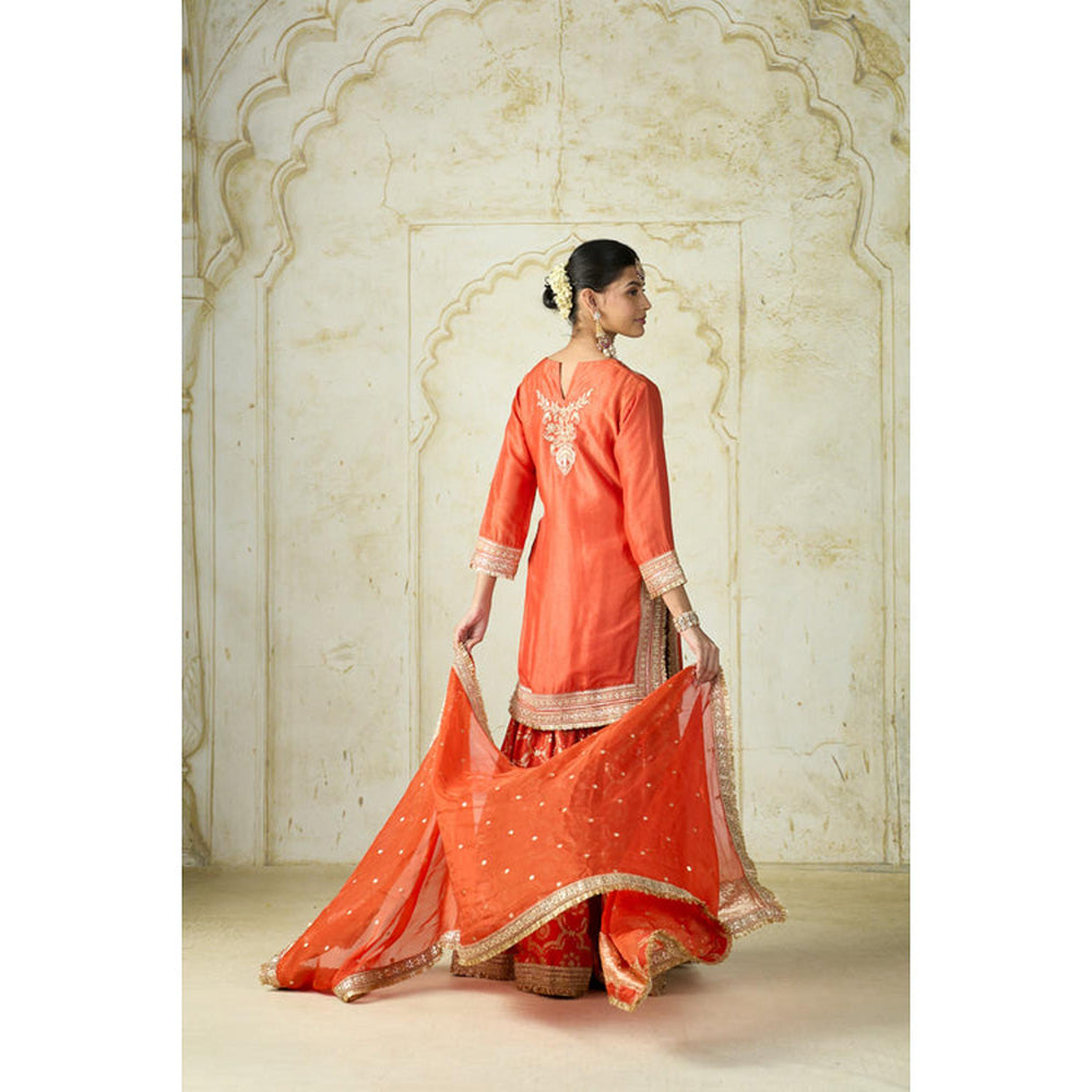 Gopi Vaid Ameena Sharara Set