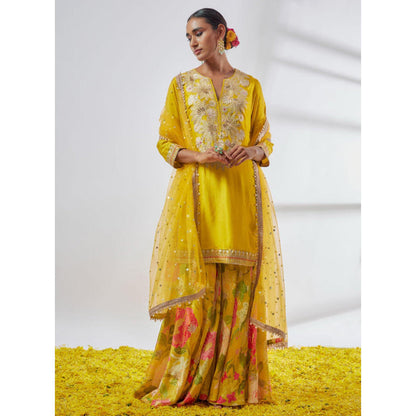 Gopi Vaid Anjali Sharara Set