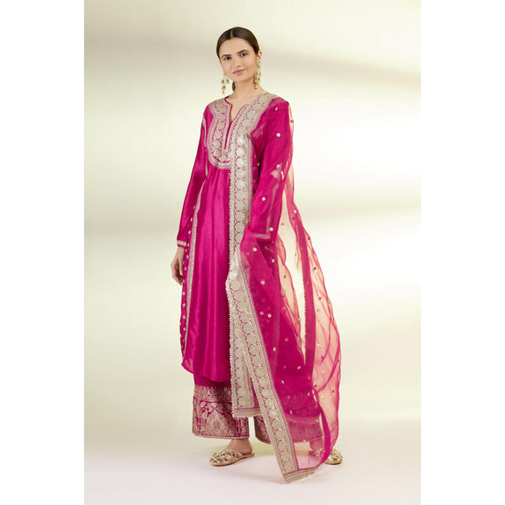 Gopi Vaid Muzzafar Palazzo Set