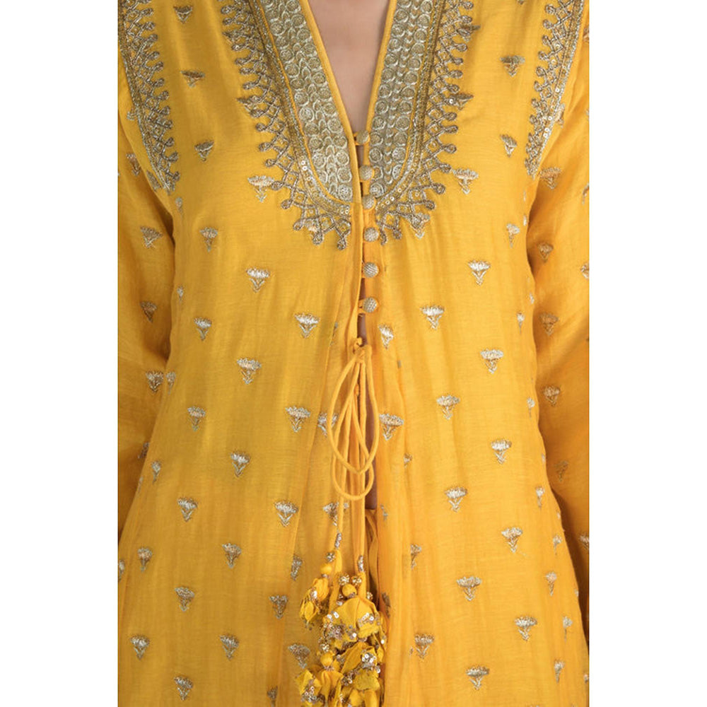 Gopi Vaid Meera Jacket Palazzo Set