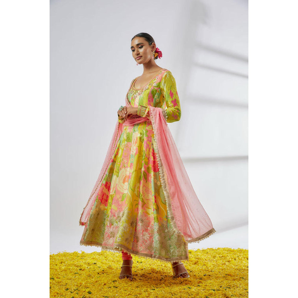 Gopi Vaid Deepti Anarkali set-Hebah Patel
