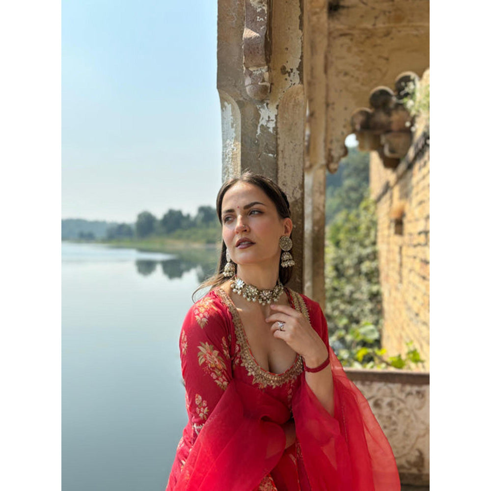 Gopi Vaid New Rati Palazzo Set