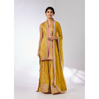 Gopi Vaid Dhriti Sleeveless Sharara Set