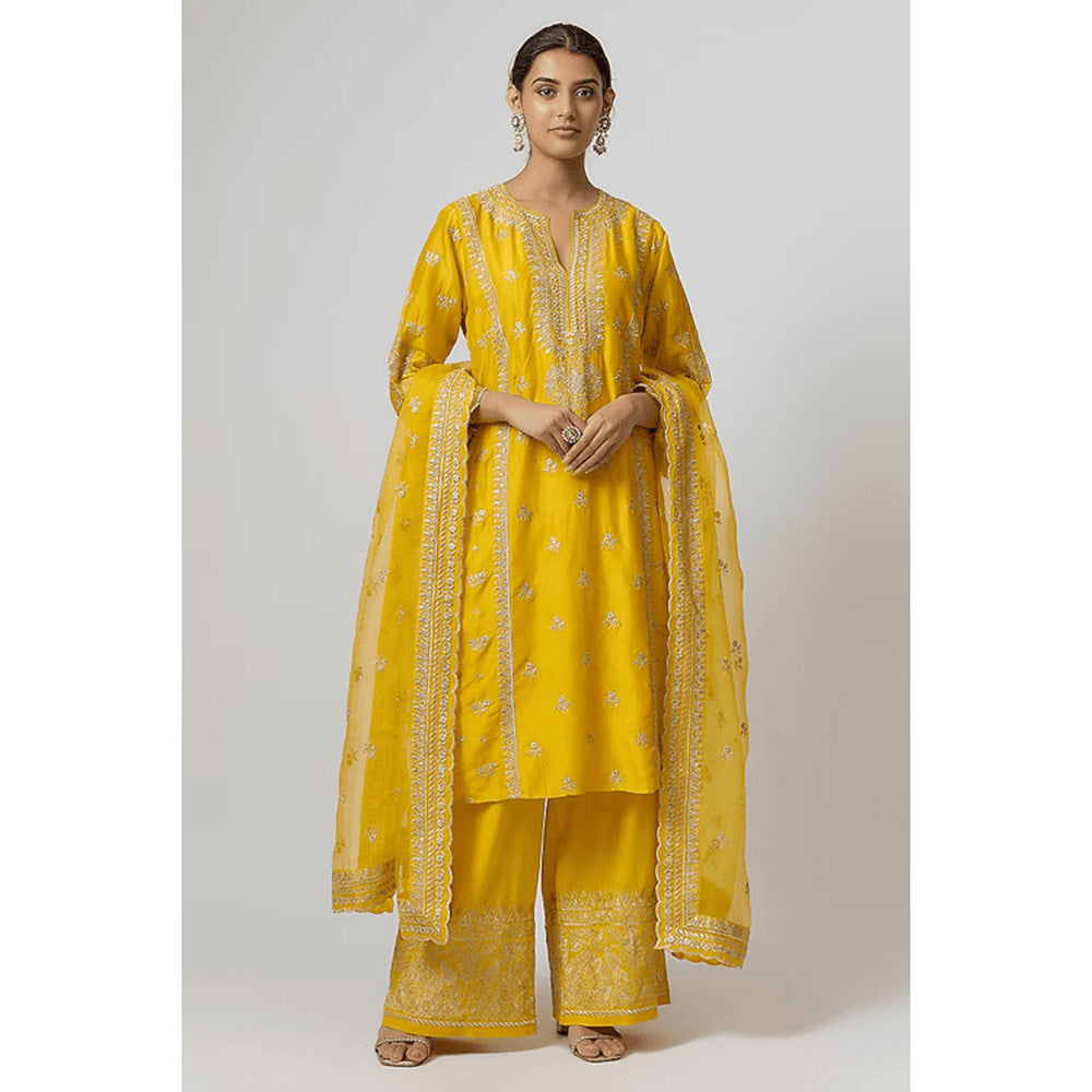 Gopi Vaid New Rati Palazzo Set- Shenaaz Gill