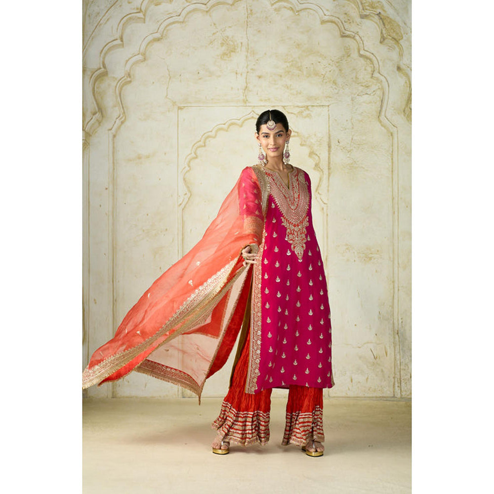 Gopi Vaid Fitoor Sharara Set