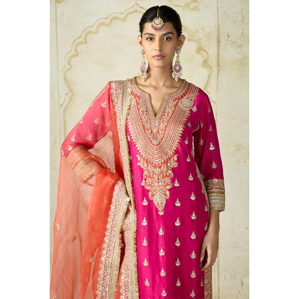 Gopi Vaid Fitoor Sharara Set