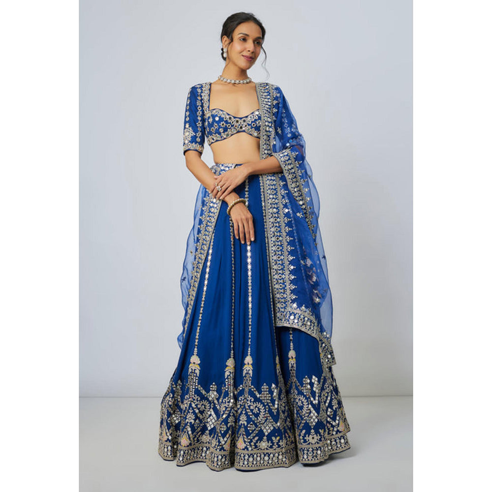 Gopi Vaid Ananya Lehenga with Blouse and Cape