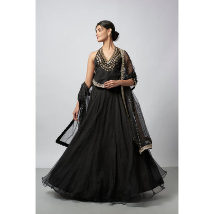 Gopi Vaid Aashreen Lehenga with Blouse and Dupatta