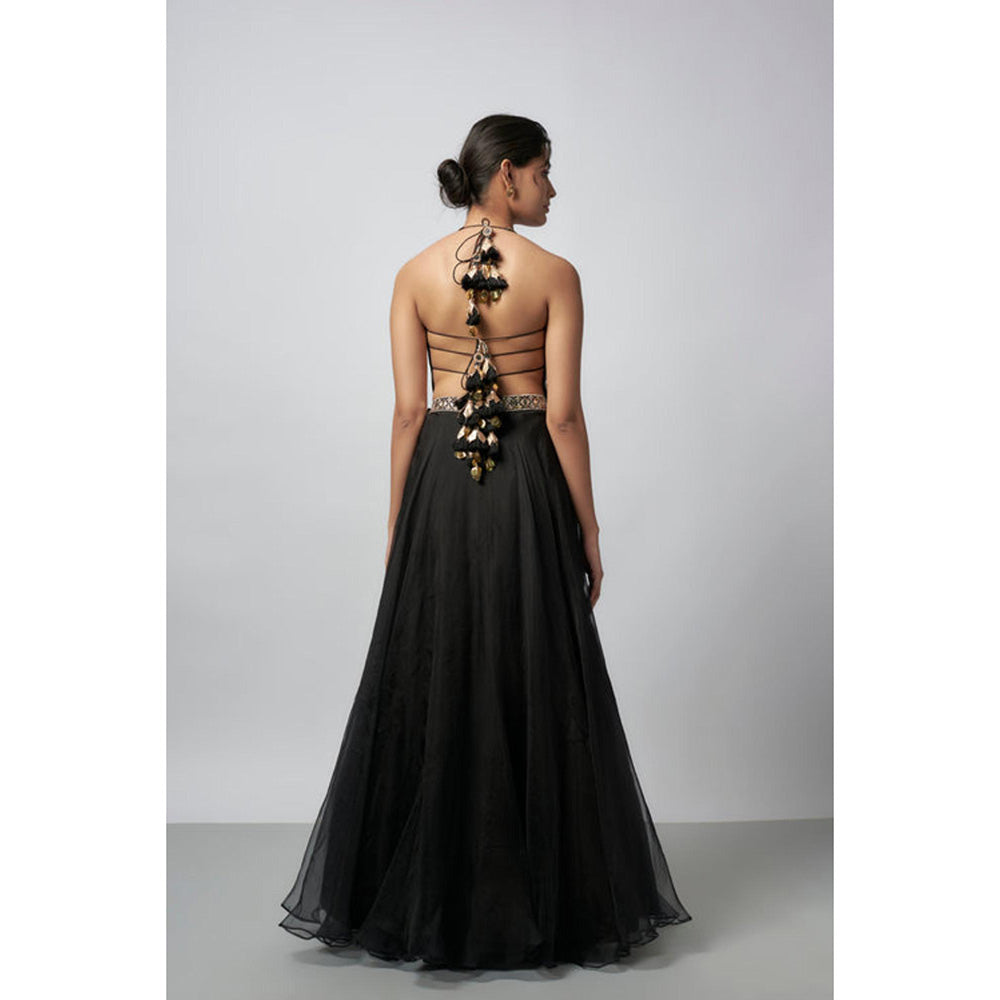 Gopi Vaid Aashreen Lehenga with Blouse and Dupatta