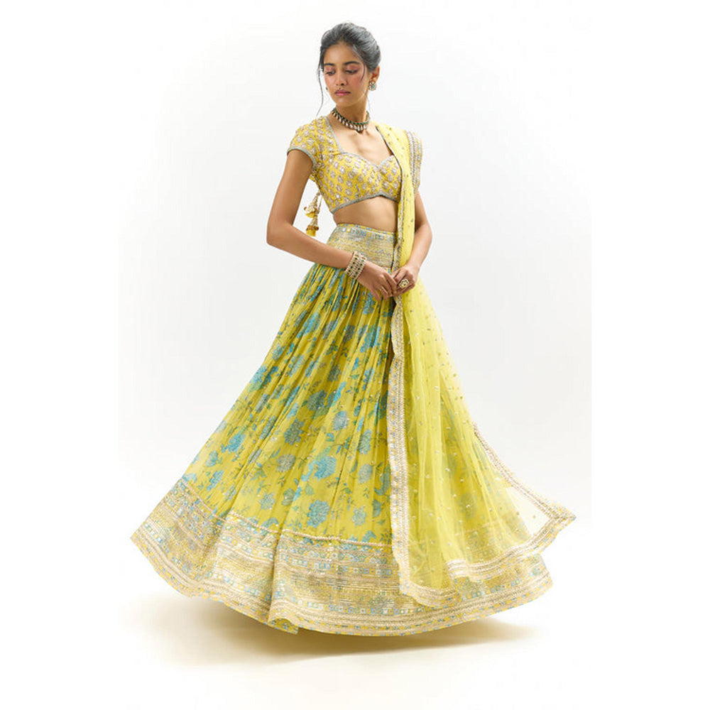Gopi Vaid Zil Lehenga with Blouse and Dupatta