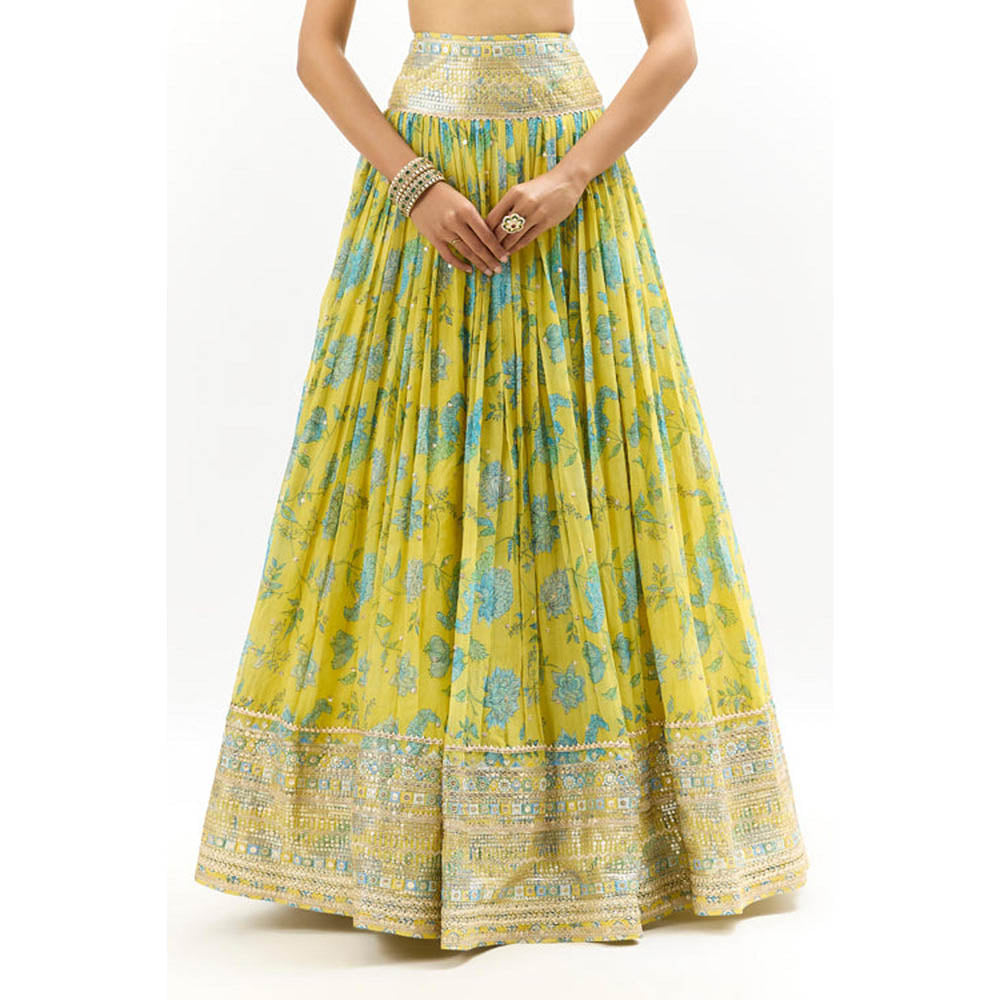 Gopi Vaid Zil Lehenga with Blouse and Dupatta