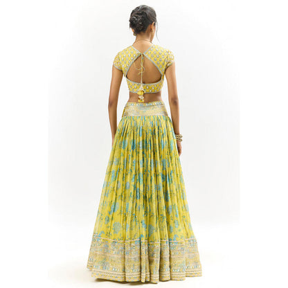 Gopi Vaid Zil Lehenga with Blouse and Dupatta