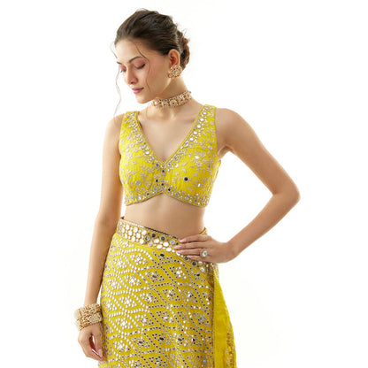 Gopi Vaid Mirai Saree with Stitched Blouse