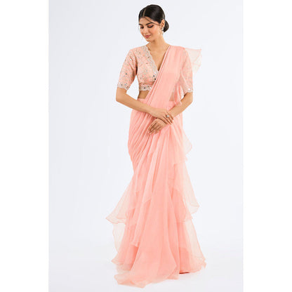 Gopi Vaid Ganika Saree with Stitched Blouse