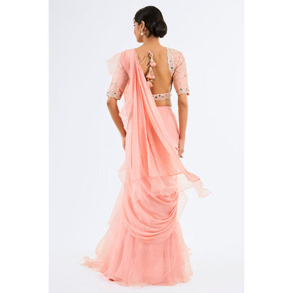 Gopi Vaid Ganika Saree with Stitched Blouse