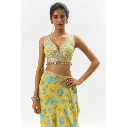 Gopi Vaid Jenisha Saree with Stitched Blouse