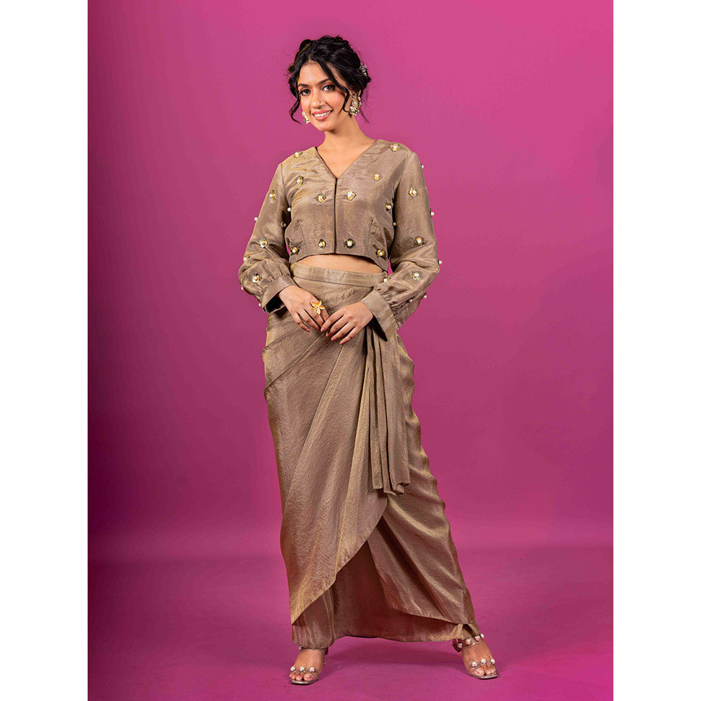 Harleen Kaur Brown Tissue Embellished Pre-Draped Skirt with Crop Top (Set of 2)