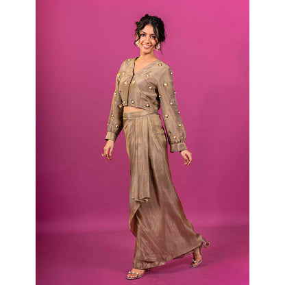Harleen Kaur Brown Tissue Embellished Pre-Draped Skirt with Crop Top (Set of 2)