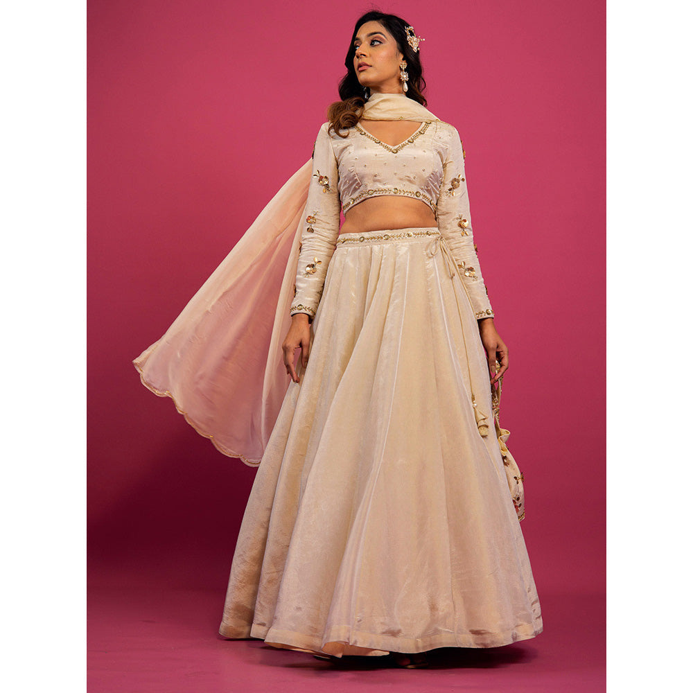 Harleen Kaur Off White Tissue Hand Embroidered Lehenga with Blouse and Dupatta (Set of 3)