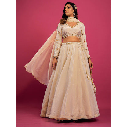 Harleen Kaur Off White Tissue Hand Embroidered Lehenga with Blouse and Dupatta (Set of 3)