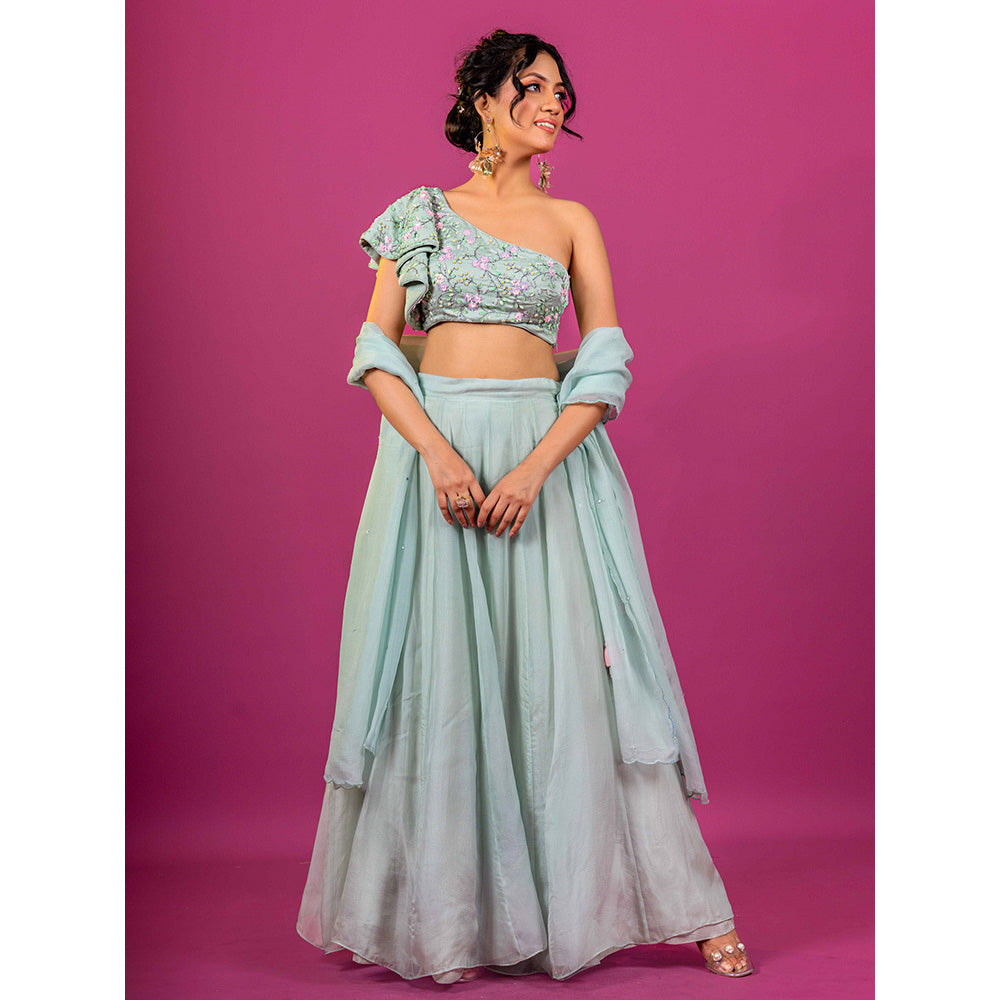 Harleen Kaur Sky Blue Hand Embroidered Lehenga with Blouse and Dupatta (Set of 3)