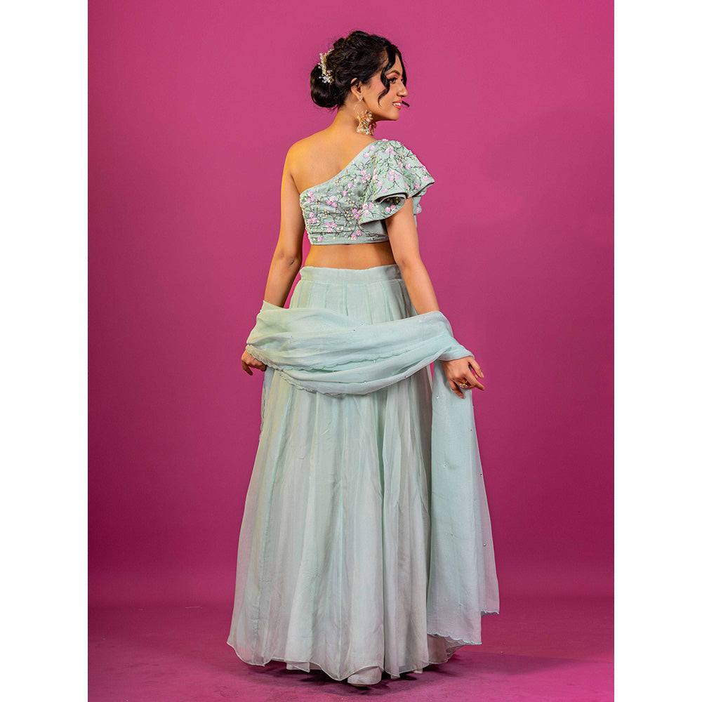 Harleen Kaur Sky Blue Hand Embroidered Lehenga with Blouse and Dupatta (Set of 3)