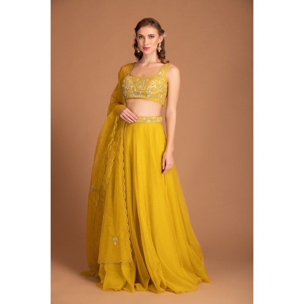 House of Tushaom Yellow Lehenga with Blouse and Dupatta (Set of 3)