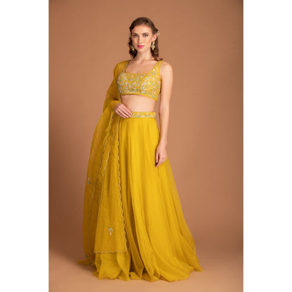 House of Tushaom Yellow Lehenga with Blouse and Dupatta (Set of 3)