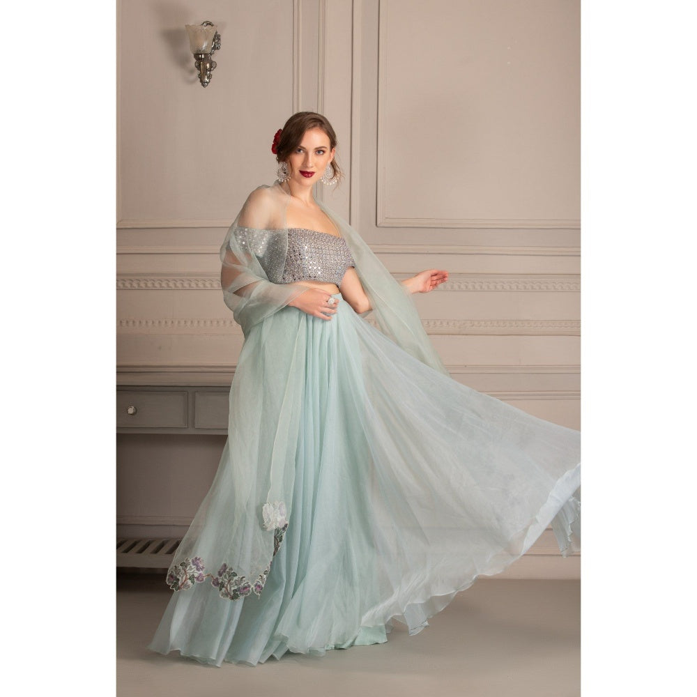 House of Tushaom Blue Lehenga with Mirror Work Blouse and Dupatta (Set of 3)