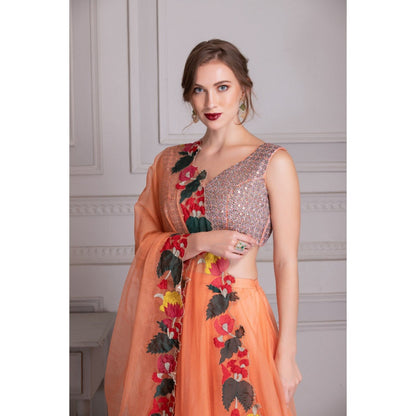 House of Tushaom Orange Lehenga with Mirror Work Blouse and Dupatta (Set of 3)