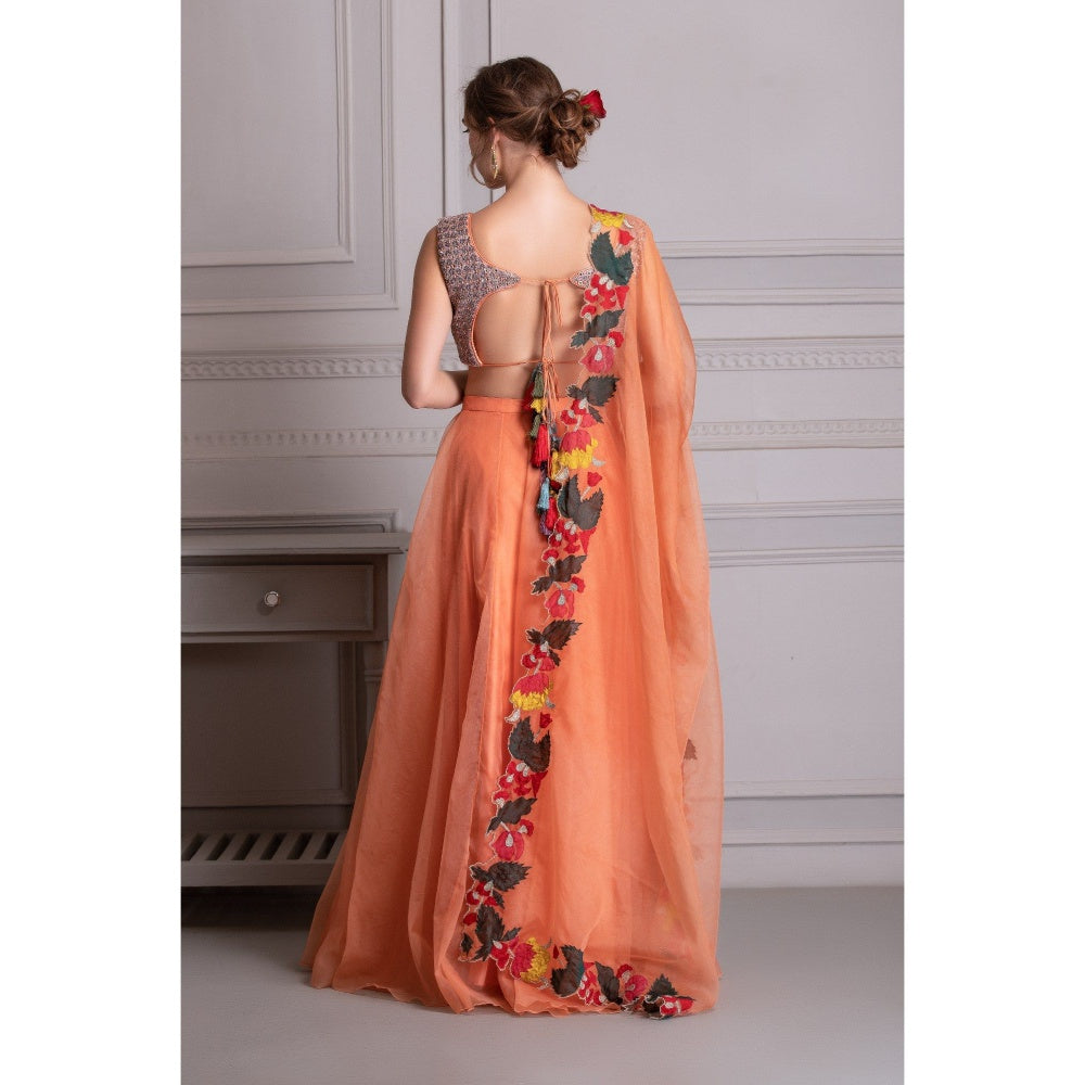 House of Tushaom Orange Lehenga with Mirror Work Blouse and Dupatta (Set of 3)