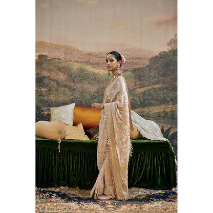 ITRH Beige Gaja Kavya Saree with Stitched Blouse