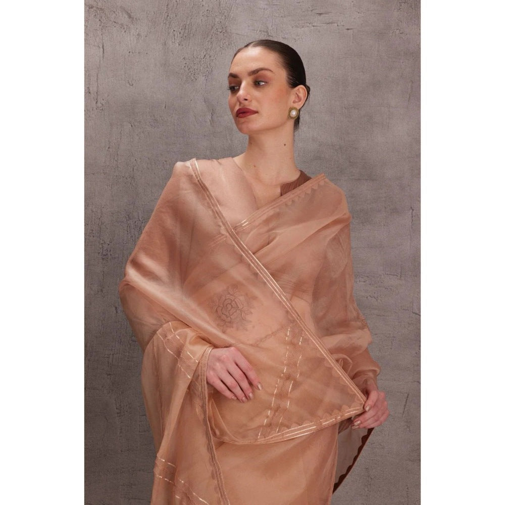 Janki India Rose Gold Organza Saree with Stitched Blouse and Petticoat