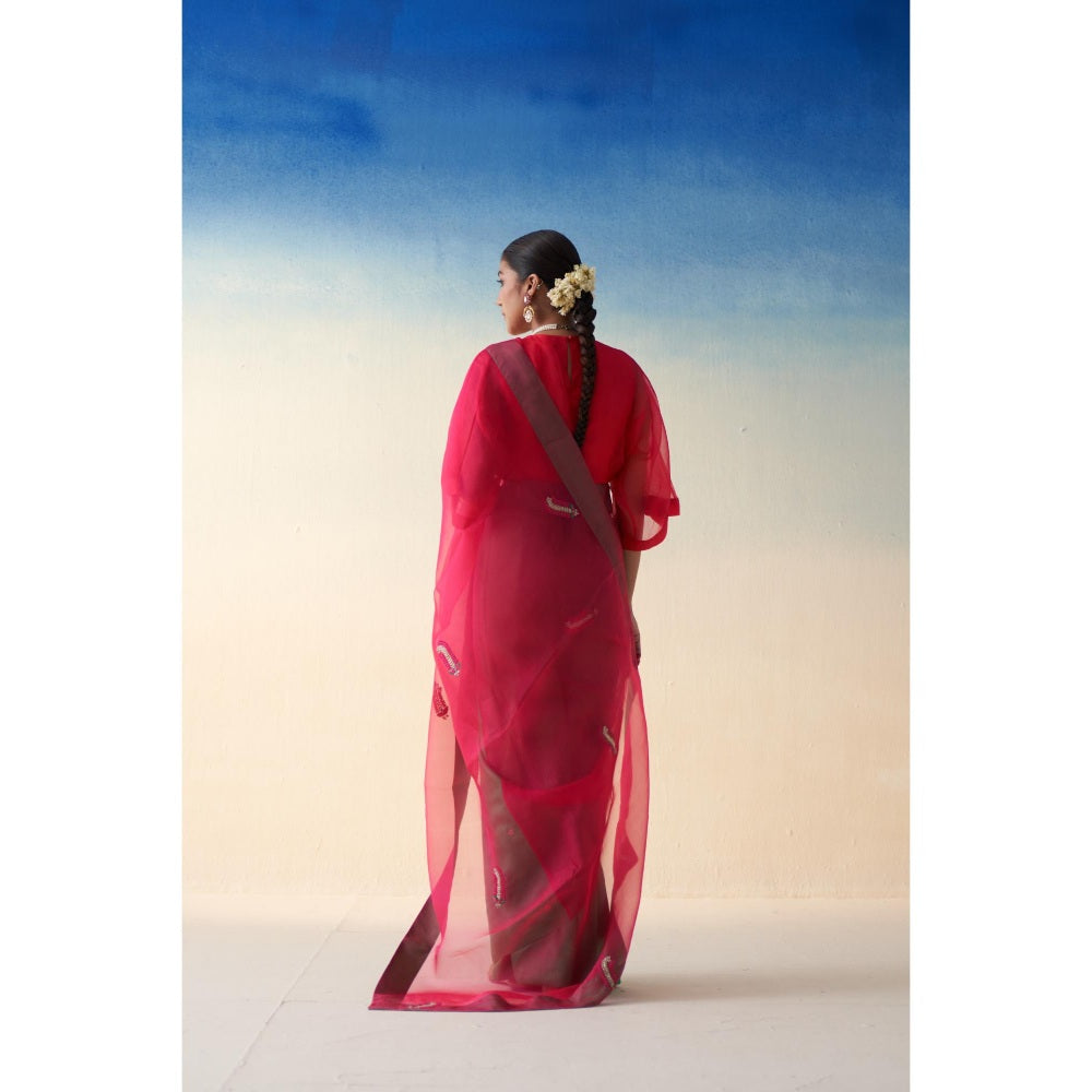 Janki India Jaal Organza Embroidered Saree and Petticoat Without Blouse
