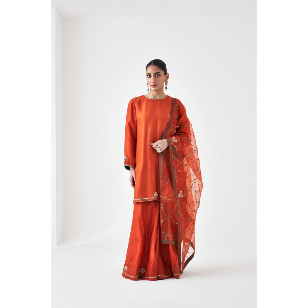 Janki India Rust Embroidered Organza Dupatta