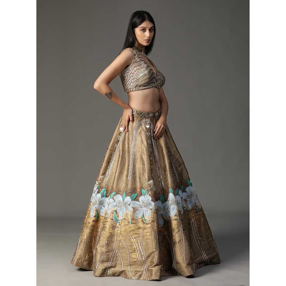 Arpita Sulakshana Gold Handpainted Lehenga with Blouse and Cape (Set of 3)