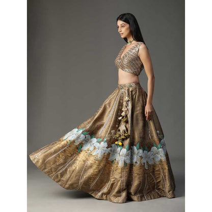 Arpita Sulakshana Gold Handpainted Lehenga with Blouse and Cape (Set of 3)