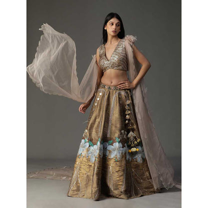Arpita Sulakshana Gold Handpainted Lehenga with Blouse and Cape (Set of 3)