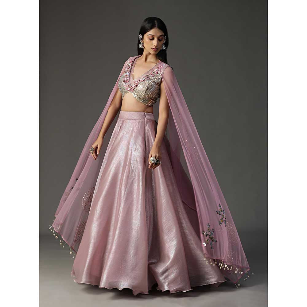 Arpita Sulakshana Pink Organza Lehenga with Blouse and Dupatta (Set of 3)