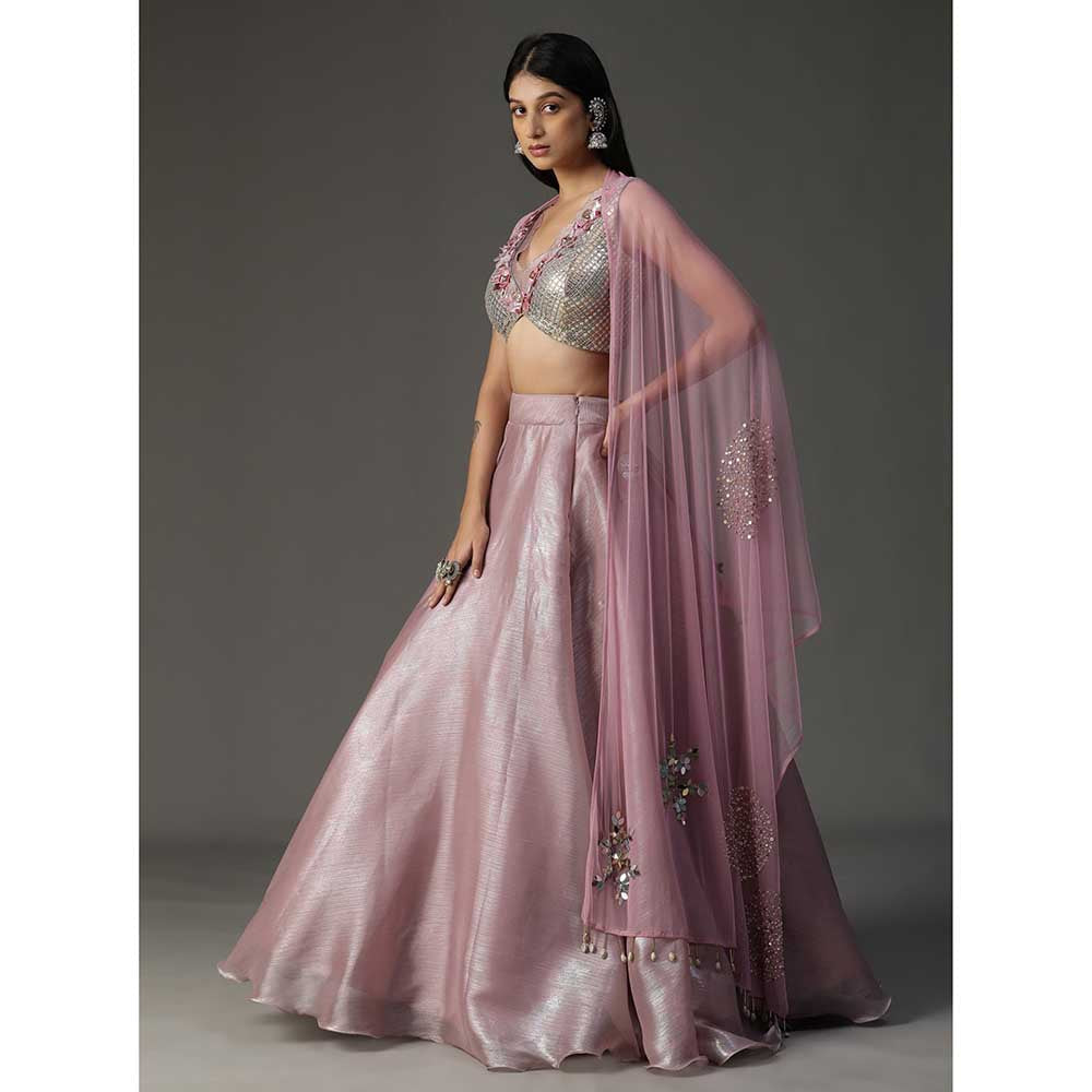 Arpita Sulakshana Pink Organza Lehenga with Blouse and Dupatta (Set of 3)