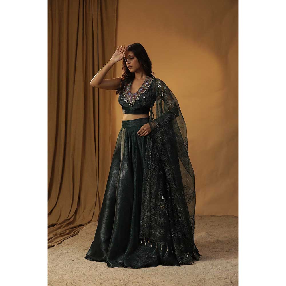 Arpita Sulakshana Green Organza Lehenga Choli (Set of 3)