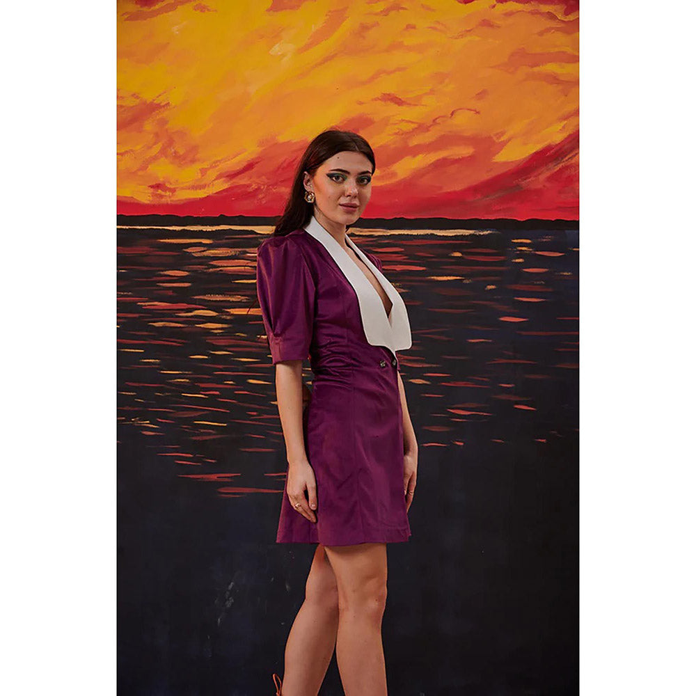 Kayjay by Kritika Jain Maiden Purple Mini Dress
