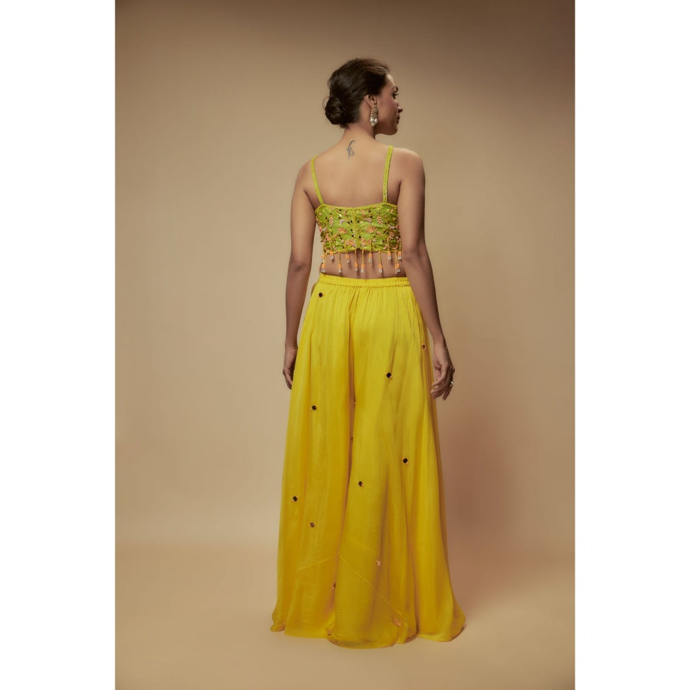 KEITH GOMES Green Organza Palazzo With Top And Dupatta (Set of 3)