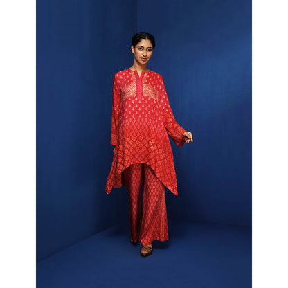 Krishna Mehta Red Printed Pant