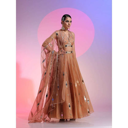 Kudi Pataka Designs Nayantara Brown Classic Lehenga With Choli & Dupatta (Set of 3)
