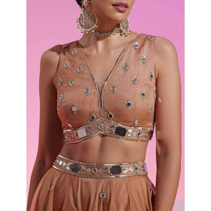 Kudi Pataka Designs Nayantara Brown Classic Lehenga With Choli & Dupatta (Set of 3)