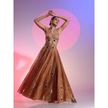 Kudi Pataka Designs Nayantara Brown Classic Lehenga With Choli & Dupatta (Set of 3)