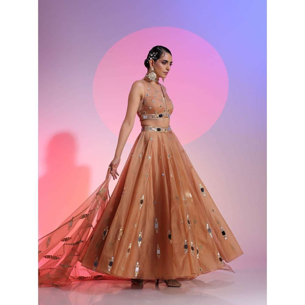 Kudi Pataka Designs Nayantara Brown Classic Lehenga With Choli & Dupatta (Set of 3)