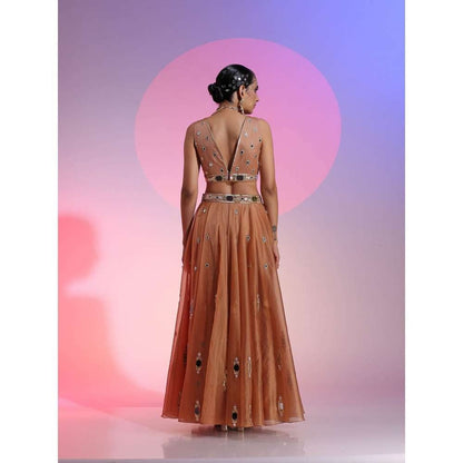 Kudi Pataka Designs Nayantara Brown Classic Lehenga With Choli & Dupatta (Set of 3)